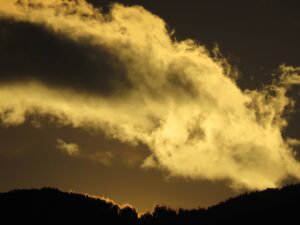 Feurige Baumspitzen Wolken Platz 1