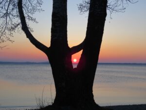 Spitzenbild Chiemsee Erster Platz