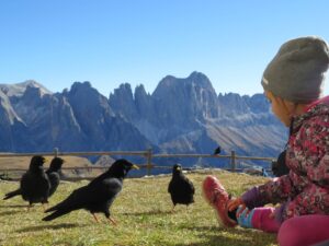 Wanderungen Kinder Dolomiten Berge