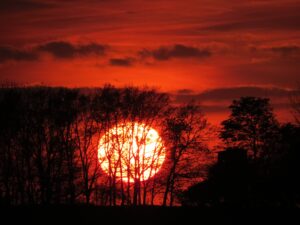 Natur Farbenstimmung Sonnenuntergang Wetter