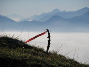 Gleitschirmwetter Windfahne Alpen