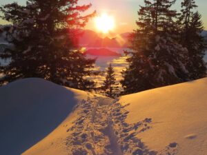 Winterwanderung Tourenski Bestes Bild Platz 1