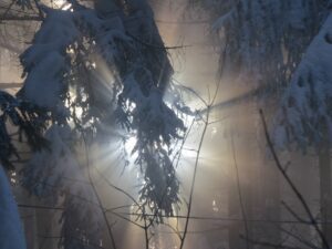 Waldwanderung Winterstimmung Berge